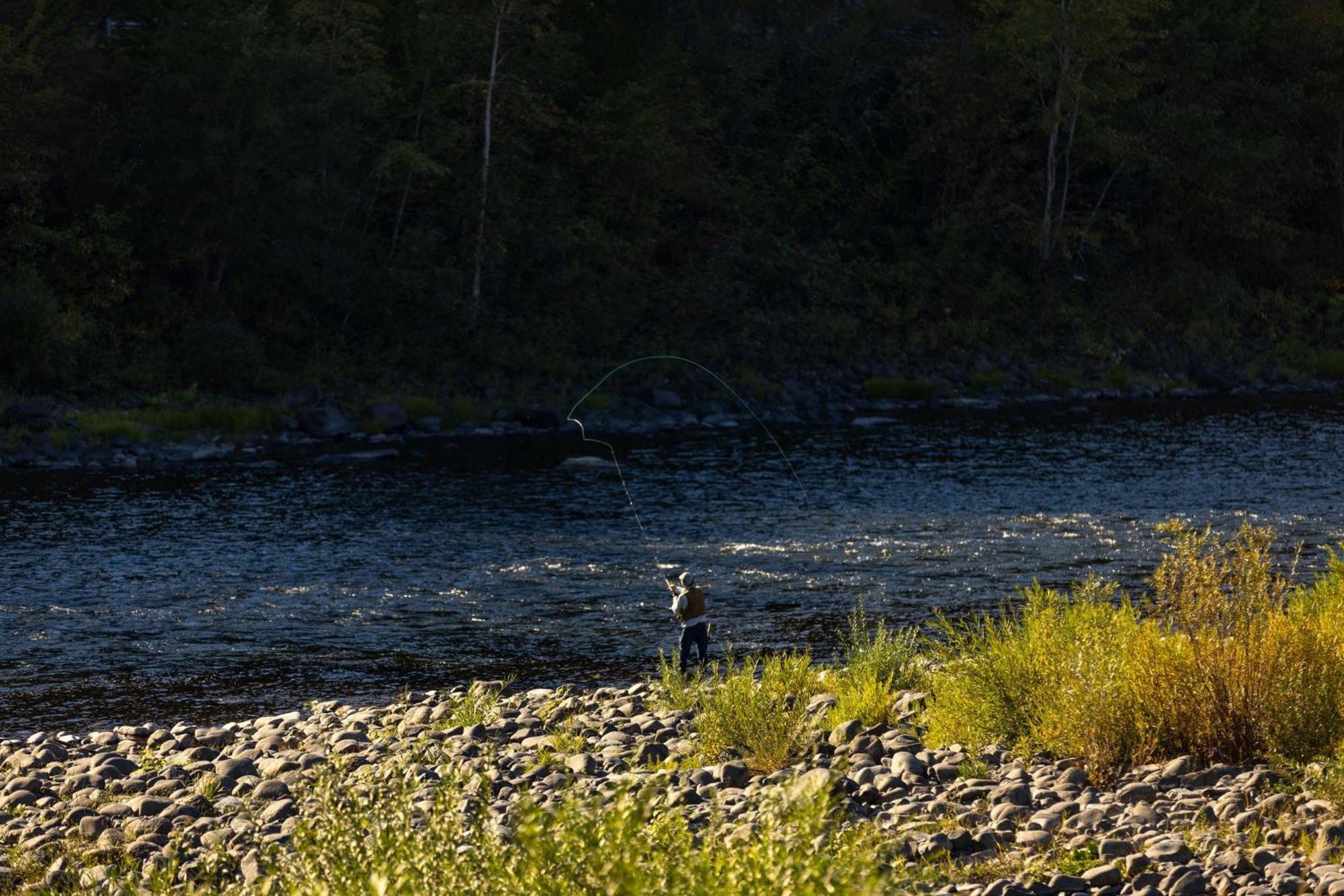 Best Western Lodge At River'S Edge Orofino Esterno foto